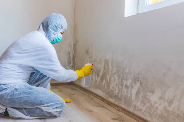 Hvac And Air Duct Mold Remediation inspection of HVAC system in Temperanceville