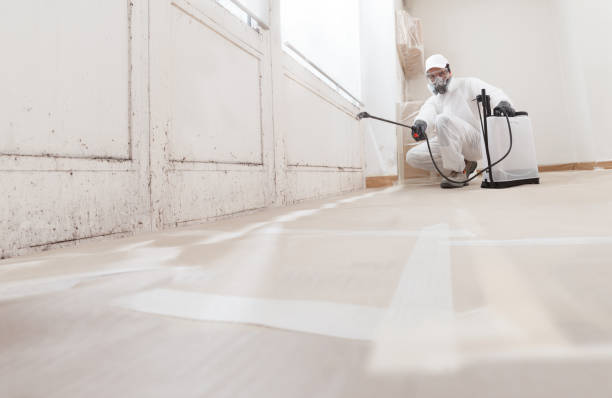 Black mold remediation team in Temperanceville